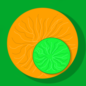 Orange and Lime (Single Download)
